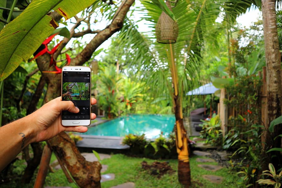 indonesia, ubud, pool, selfie, xiaomi, green, android, forest, HD wallpaper