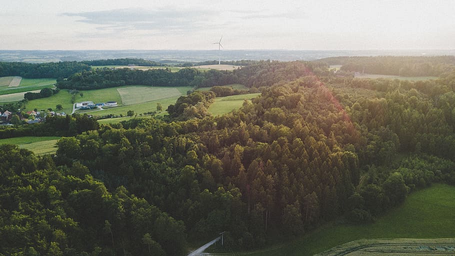 trees, forest, street, windmill, aerial, drone, dji, djiglobal HD wallpaper