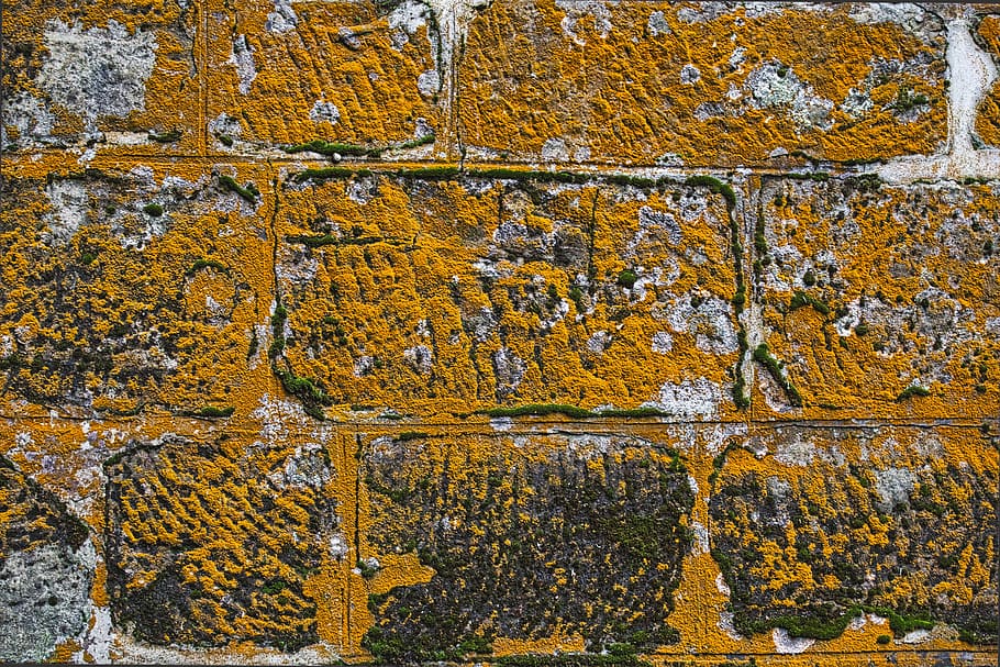 stone, wall, moss, yellow, structure, pattern, stone wall, natural stone HD wallpaper