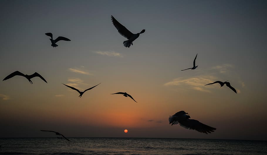 friends, crew, living, sky, sun, explore, quintana roo, cancun, HD wallpaper