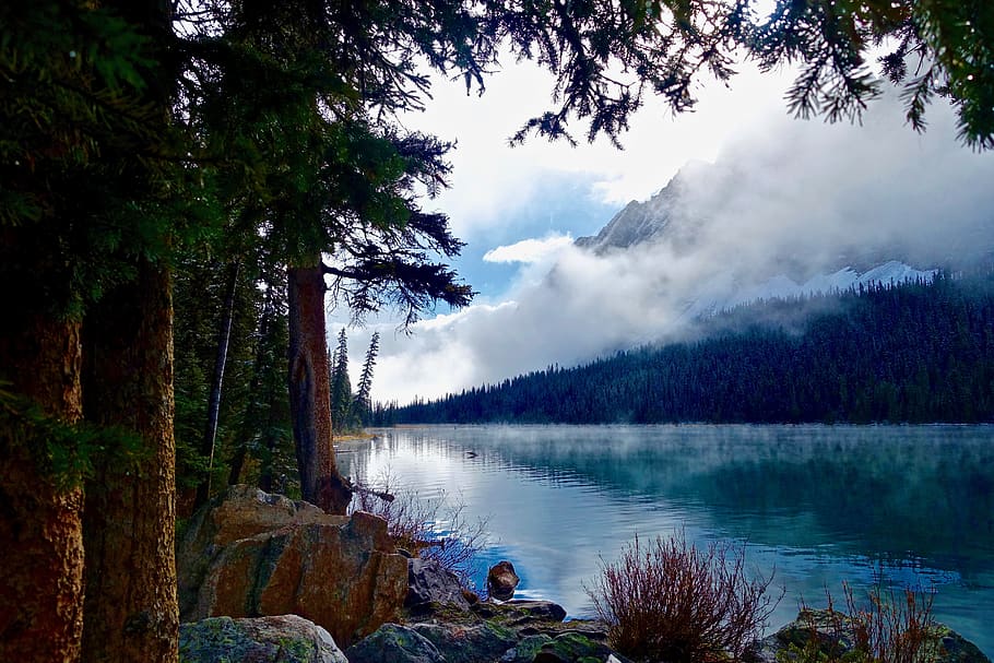 Scenic View of Lake Against Cloudy Sky, clouds, conifer, dawn HD wallpaper