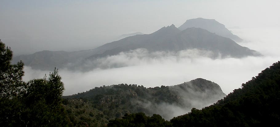 nature, mountains, landscape, clouds, alpine, fog, tree, plant, HD wallpaper