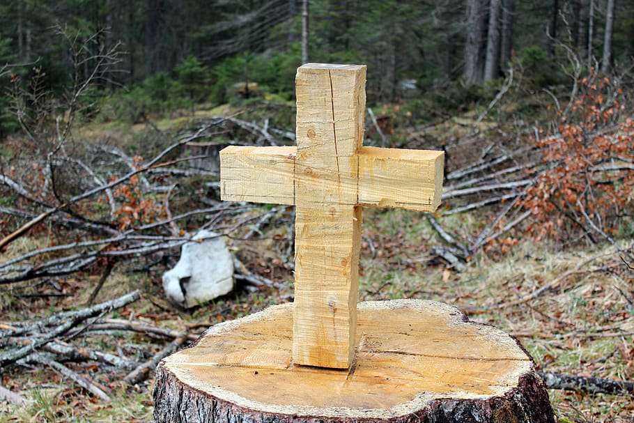 austria, ehrwald, crucifix, tree, forest, wood - material, cross HD wallpaper