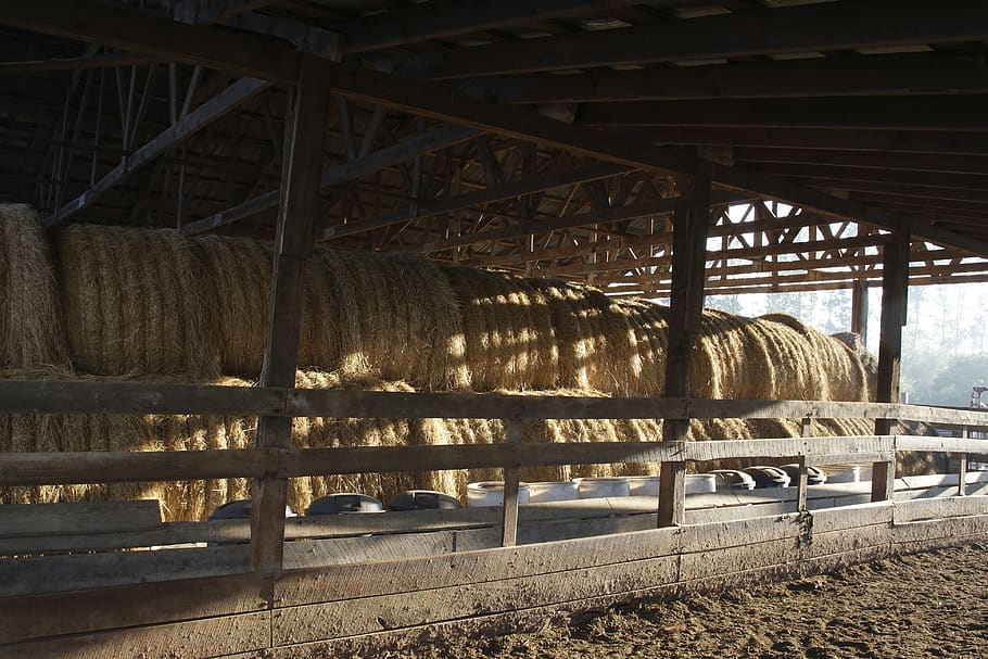 Hay Barn, agriculture, containers, daylight, farm, grass, hay bales HD wallpaper