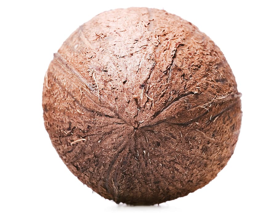 Public Domain. coconut, closeup, tropical, white, brown, husk, one, macro, ...