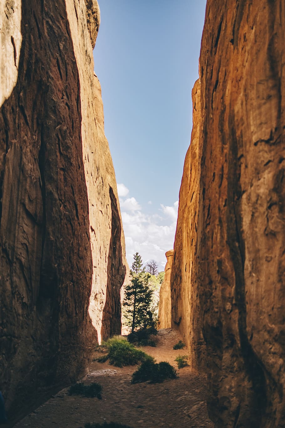 tree between high rock walls, sky, nature, rock formation, day HD wallpaper