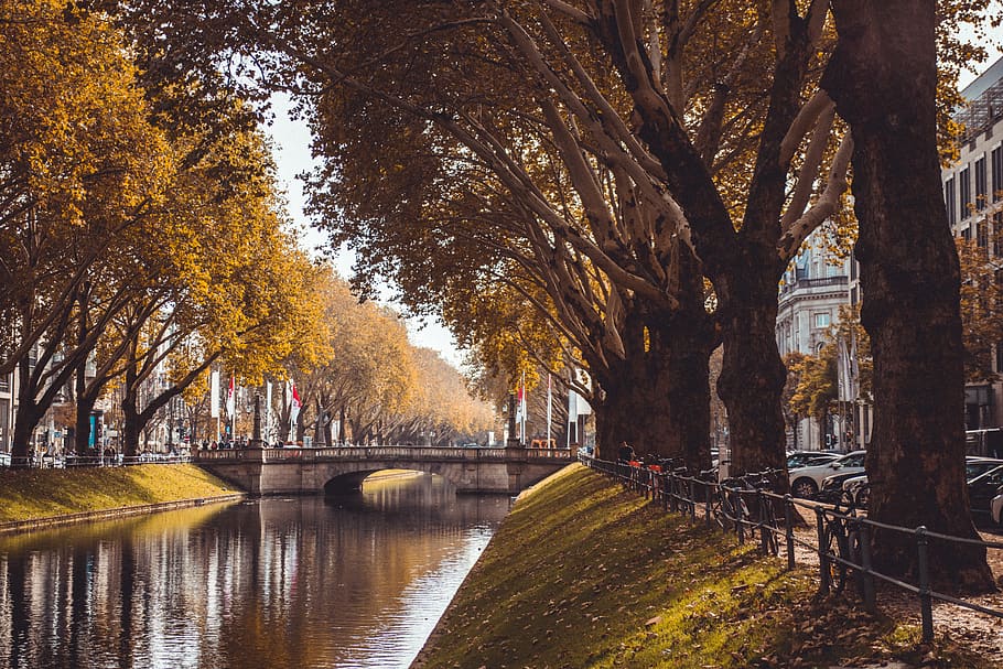 green leafed trees, path, water, outdoors, canal, vehicle, automobile HD wallpaper