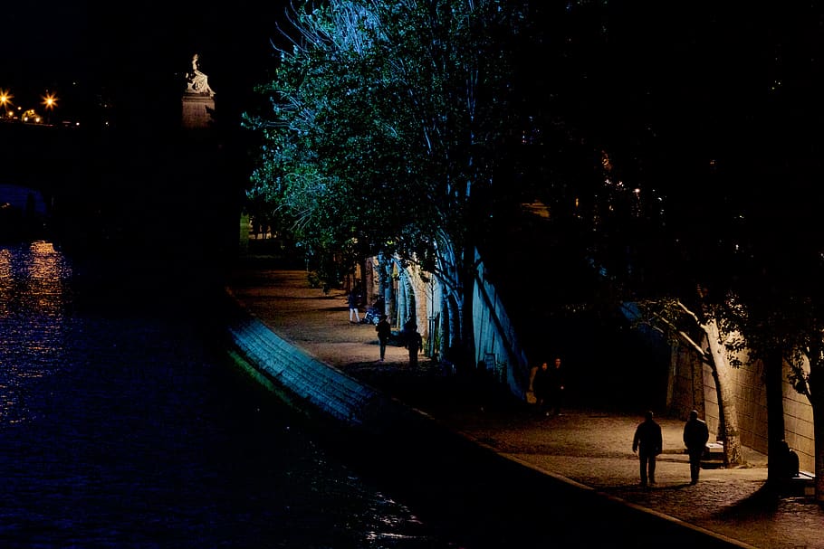 paris, walk, trees, night, seine, river, illuminated, plant HD wallpaper