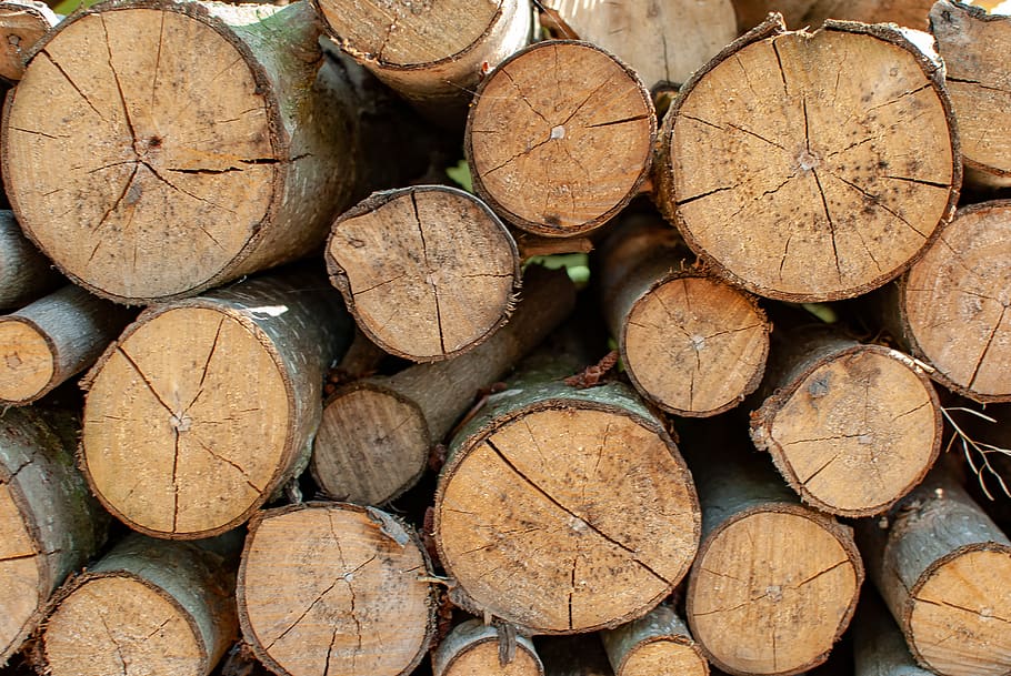 heap, wood, log, stack, texture, forestry, trunk, cup, timber HD wallpaper