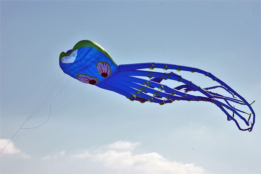 kite, beach, berck-plage, wind, sky, blue, flying, low angle view HD wallpaper