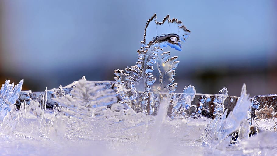 ice, crystal, winter, cold temperature, snow, nature, selective focus HD wallpaper