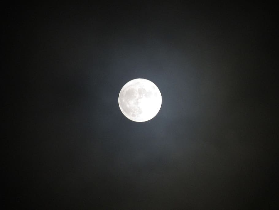 white full moon photo, night, astronomy, space, universe, outer space