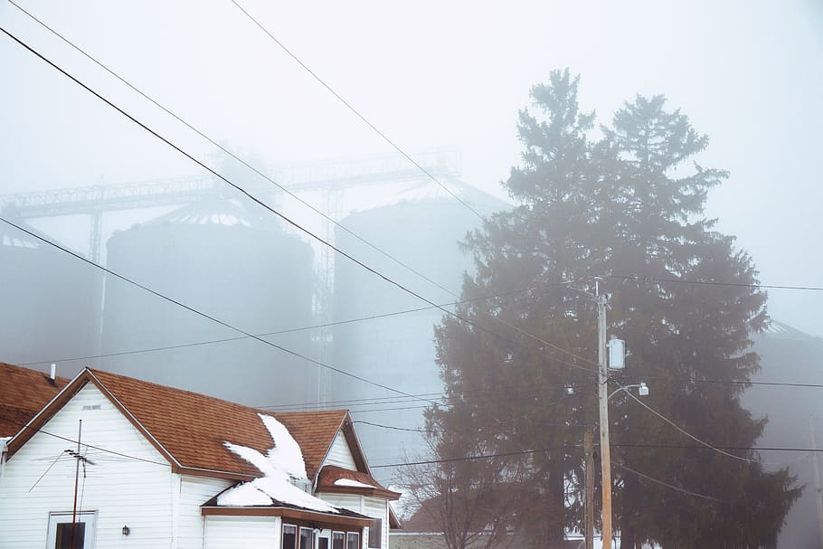 nature, outdoors, snow, roof, winter, tree, plant, fog, abies