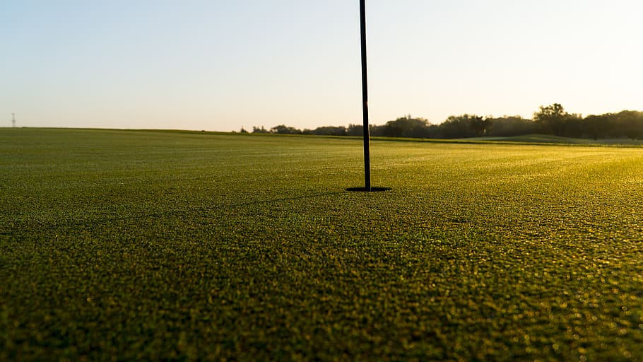 golf, golf course, golfing, green, grass, field, golfers, nature HD wallpaper
