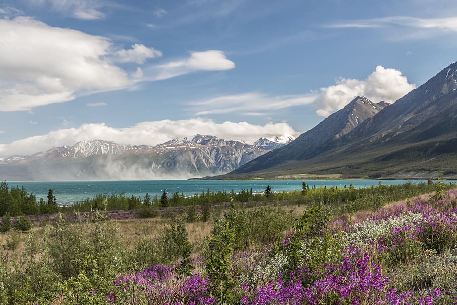 canada, destruction bay, beauty in nature, mountain, scenics - nature HD wallpaper