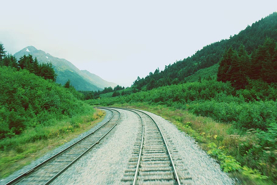 landscape, forest, mountain, track, road, meadow, hill, highway HD wallpaper