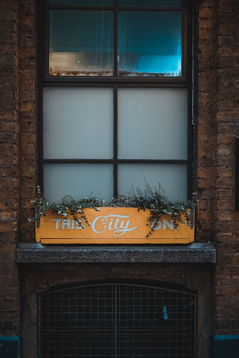 united kingdom, london, the breakfast club hackney wick, window ledge, HD wallpaper
