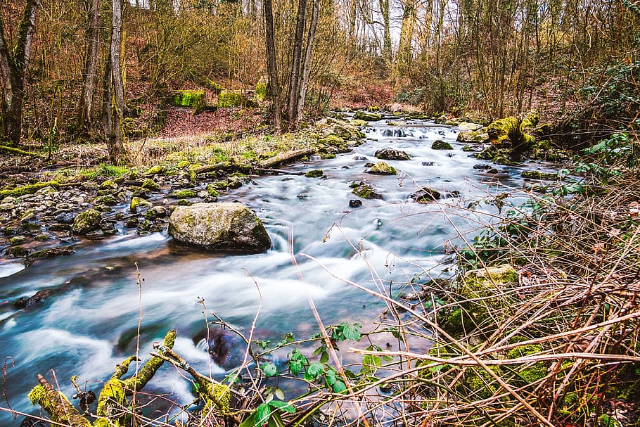 düssel, neanderthal, hiking, river, mettmann, landscape, winter HD wallpaper