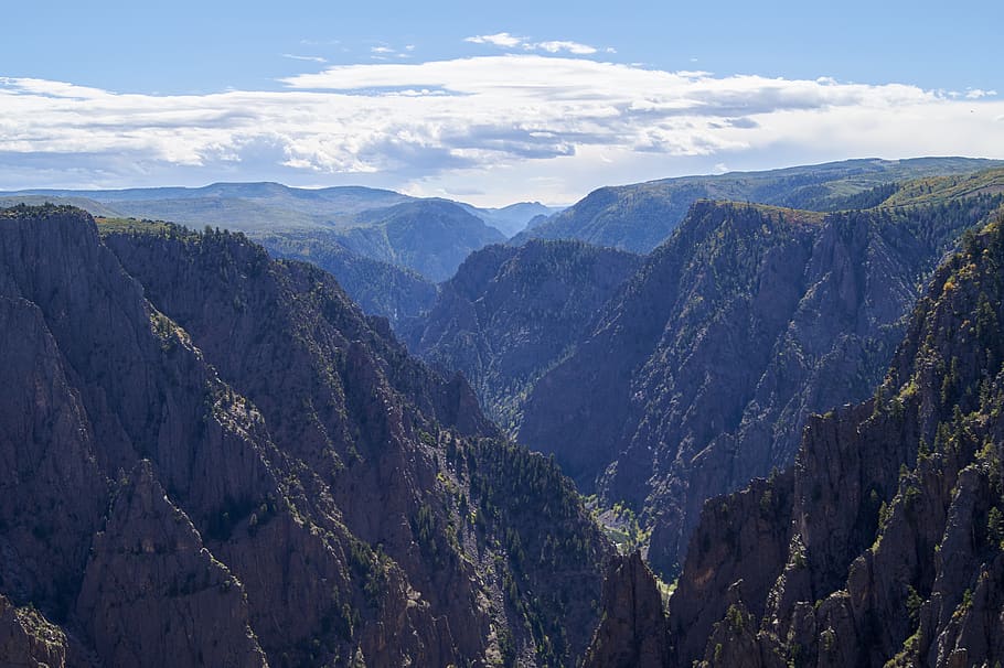 united states, black canyon of the gunnison, trees, national park, HD wallpaper