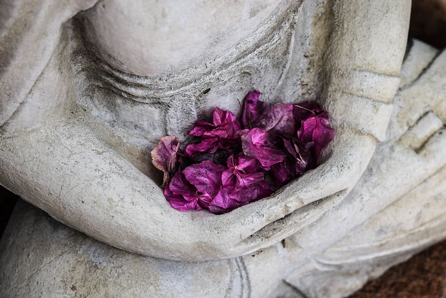concrete statuette, flowering plant, close-up, beauty in nature HD wallpaper