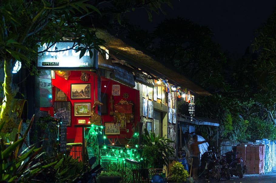 bali, ubud, lounge, bar, lights, trees, night, nightlights, HD wallpaper
