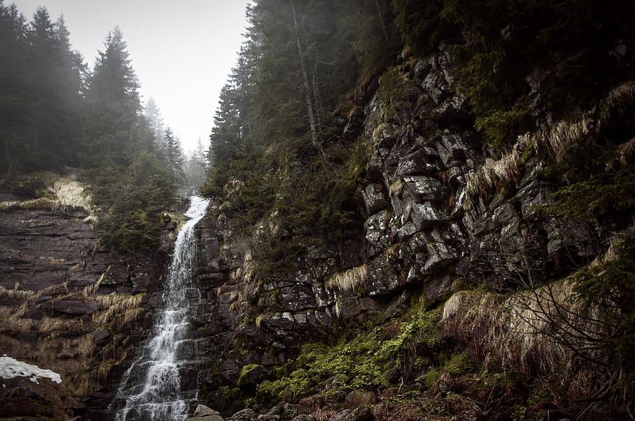 waterfall, evergreen trees, forest, stream, rock, mountain HD wallpaper