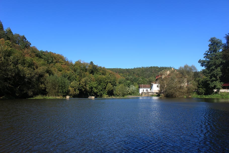czechia, samopše, water, tree, plant, blue, sky, architecture HD wallpaper