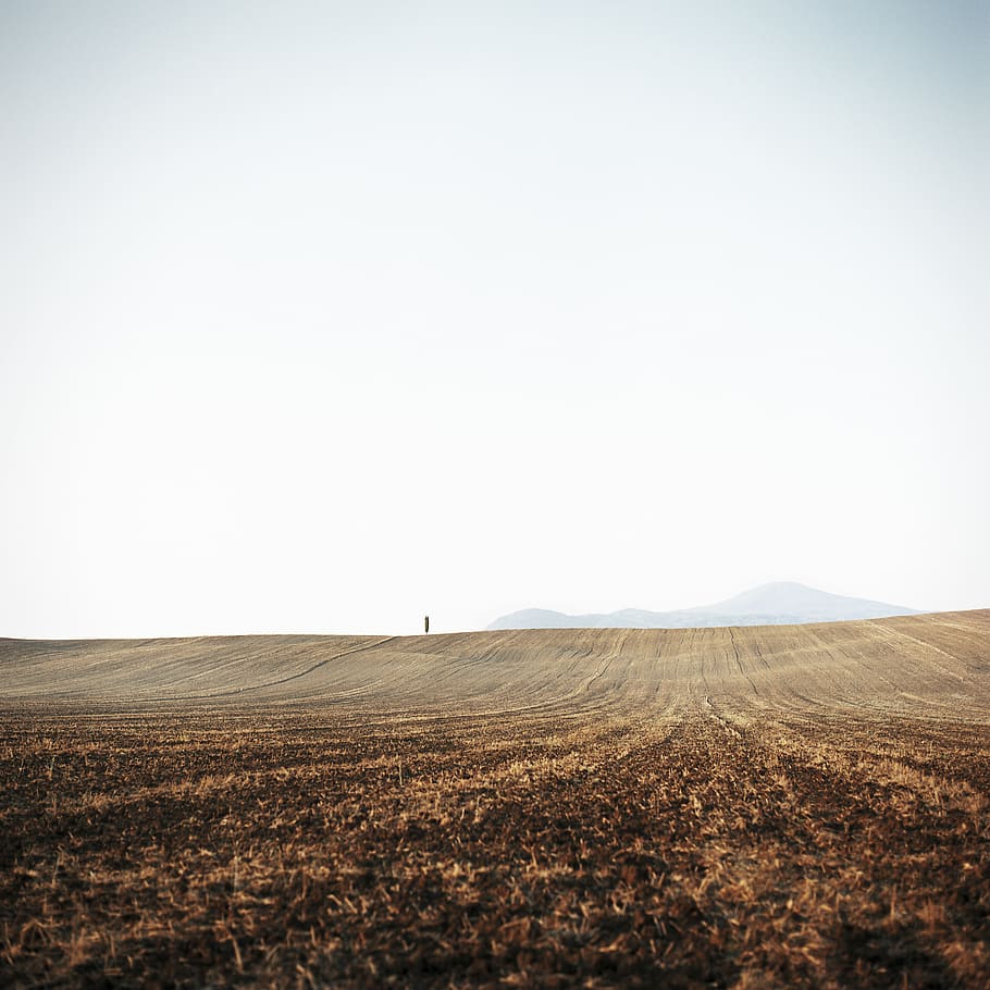 empty field, landscape, sky, copy space, environment, tranquil scene HD wallpaper