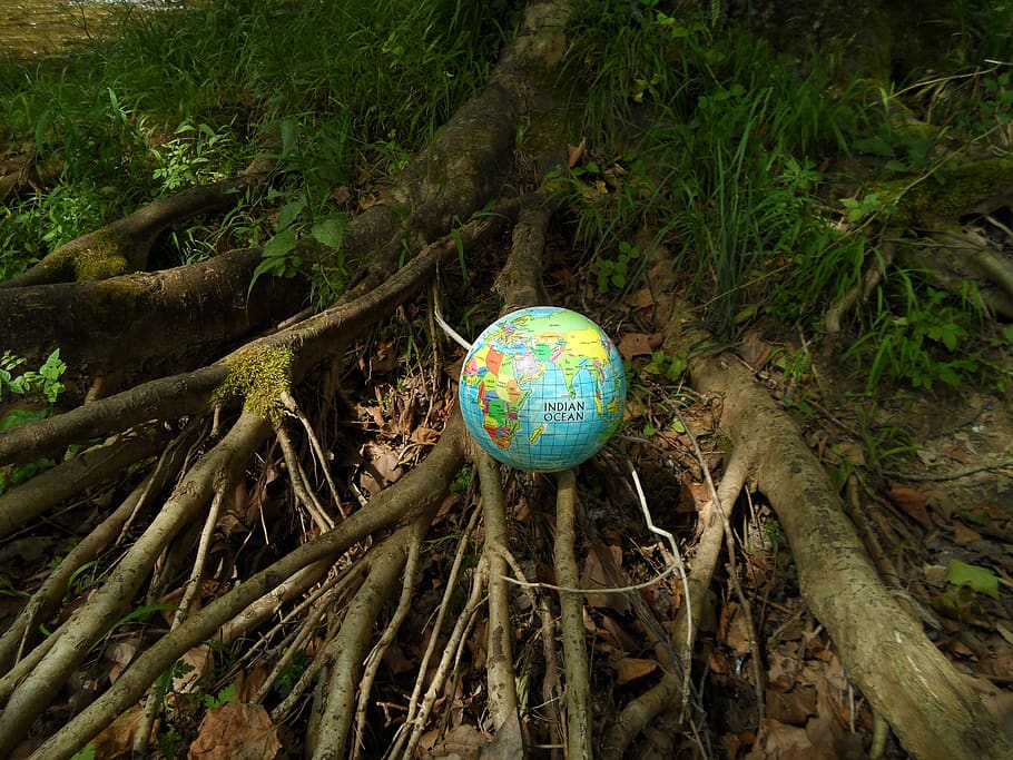 spain, basque country, forest, world, globe, earth, planet HD wallpaper