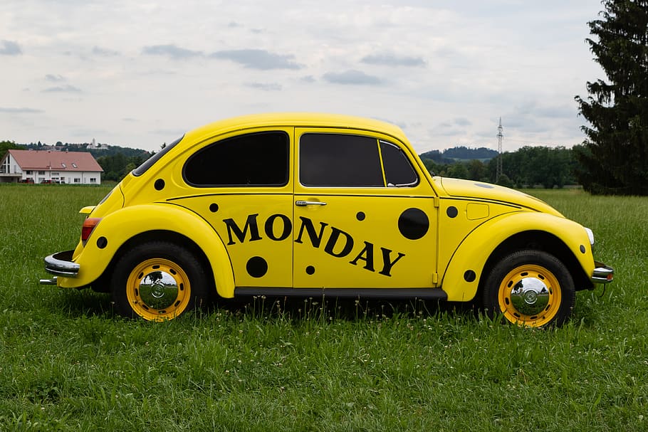 vw, beetle, volkswagen, oldtimer, vw beetle, auto, classic HD wallpaper