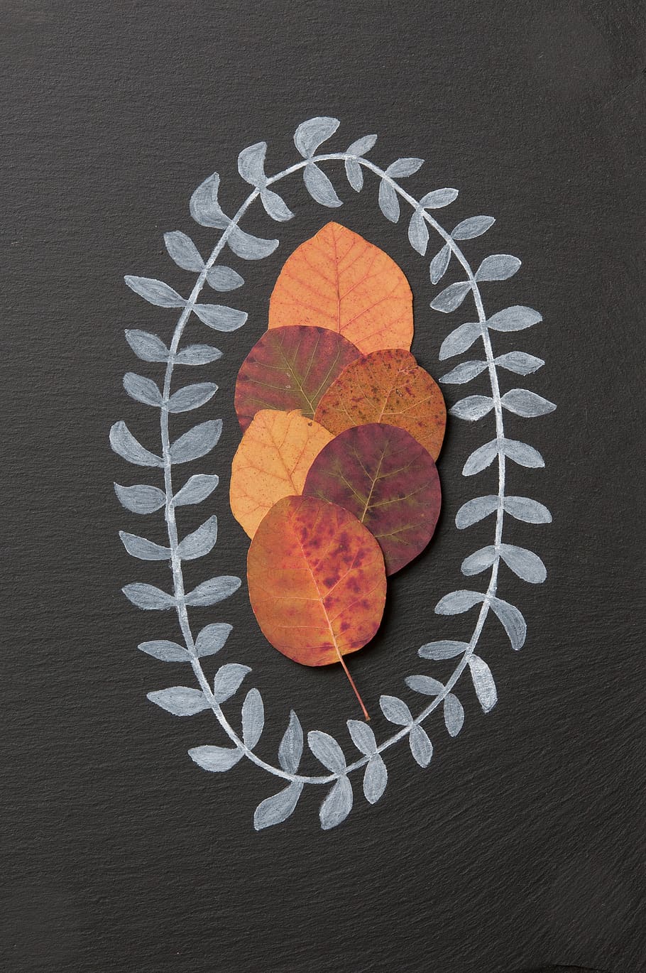 brown leaves, directly above, table, no people, leaf, indoors HD wallpaper