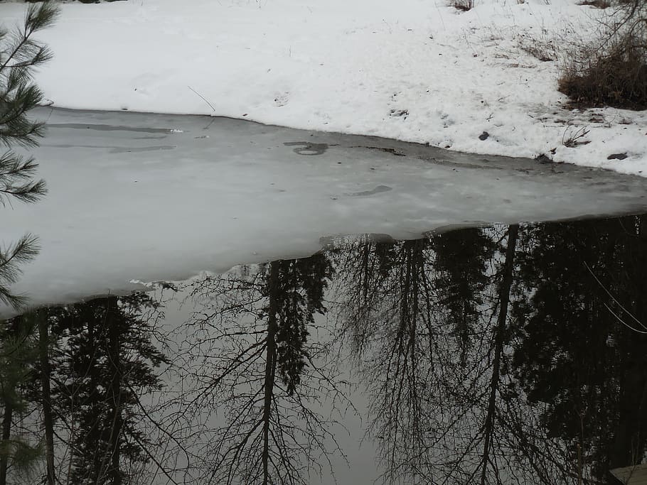 trees, lake, forest, winter, ice, reflection, water, shore HD wallpaper