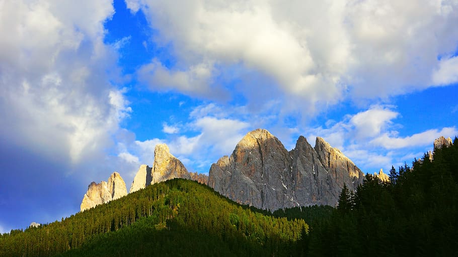 nature, outdoors, mountain range, peak, fir, abies, plant, tree HD wallpaper