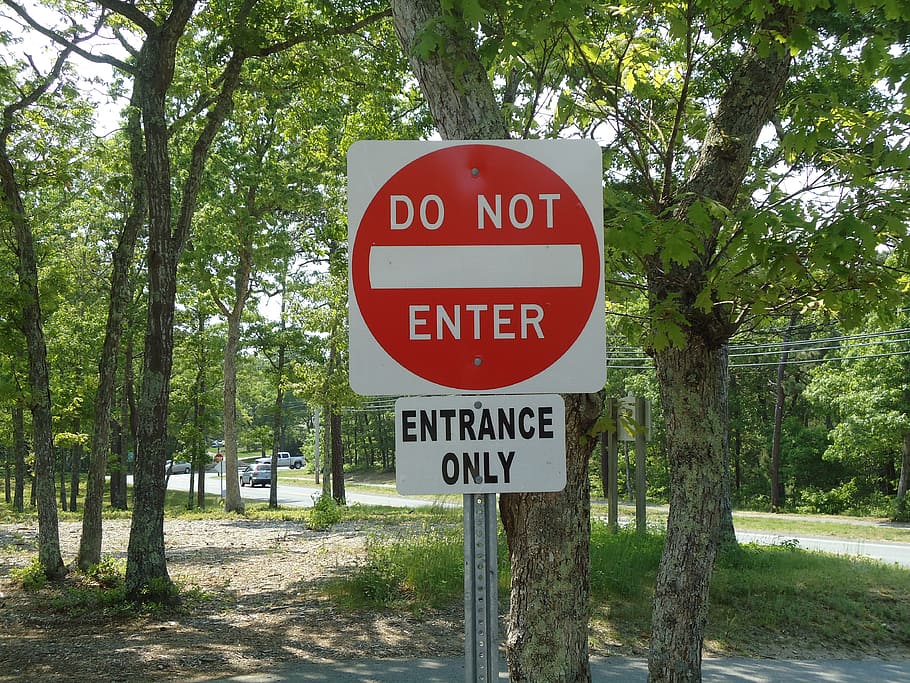sign, do, not, enter, text, tree, communication, western script HD wallpaper
