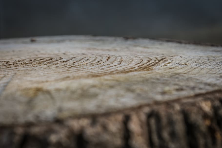 wood, timber, font, selective focus, no people, close-up, wood - material HD wallpaper