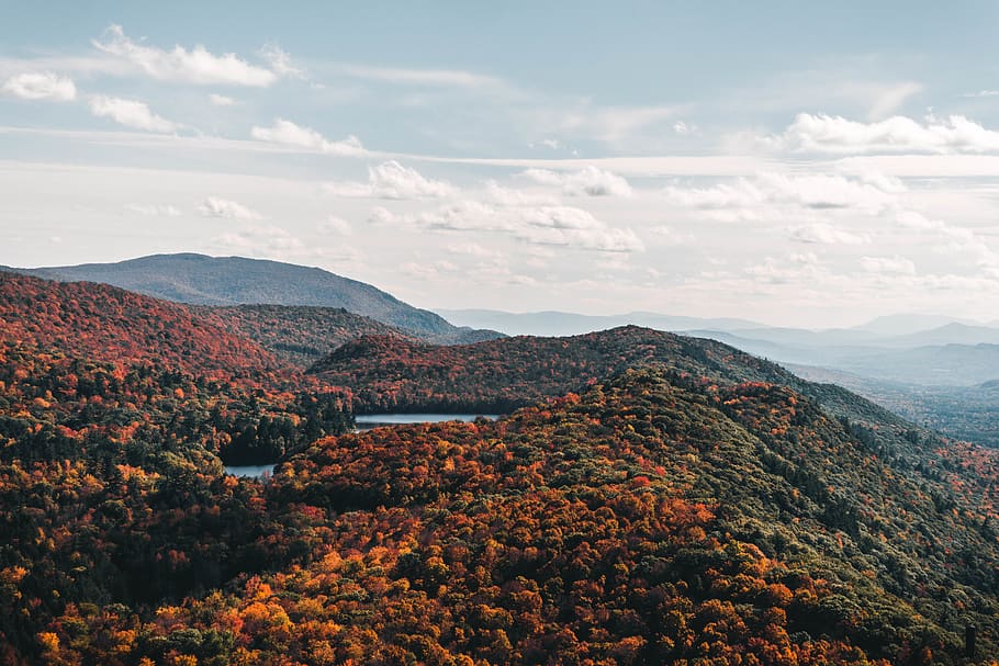trees covered mountain during daytime, sky, beauty in nature HD wallpaper