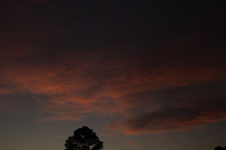 sunset, trees, sky, clouds, cloud - sky, beauty in nature, scenics - nature HD wallpaper