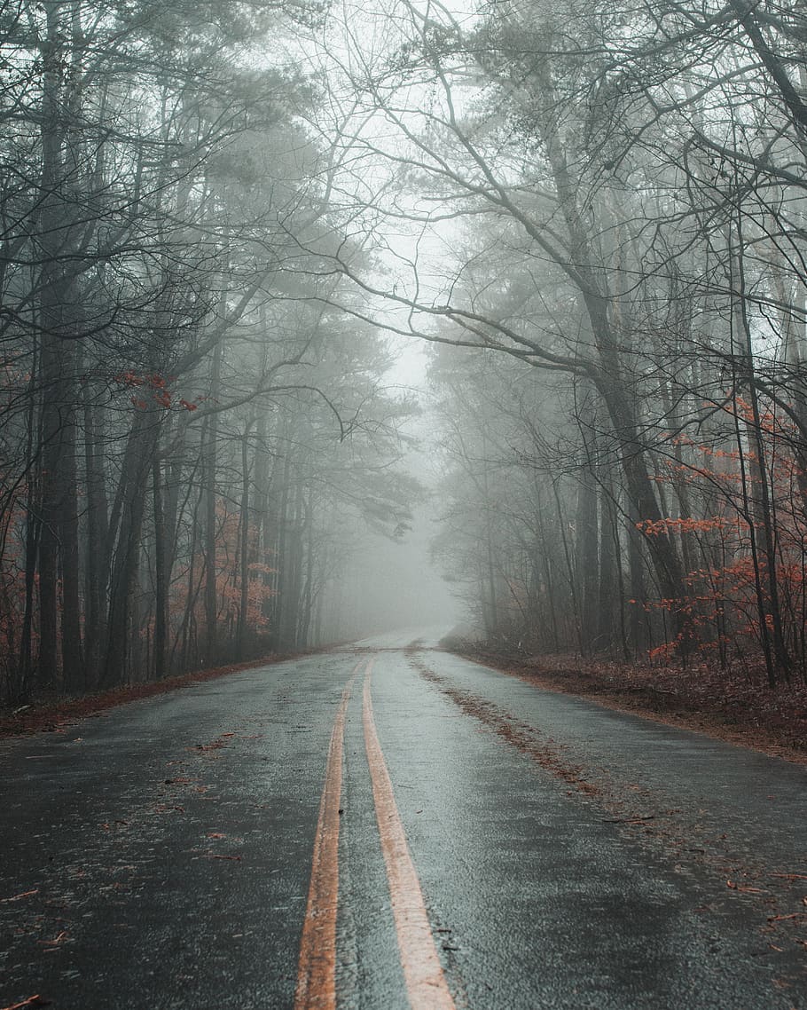 black concrete road between trees, nature, weather, outdoors HD wallpaper
