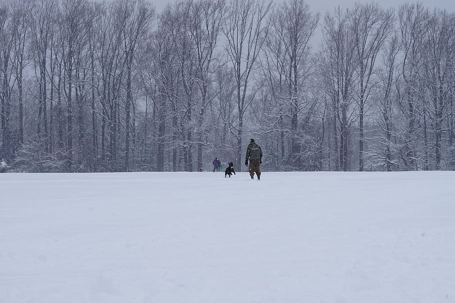 nature, storm, winter, blizzard, snow, outdoors, human, person HD wallpaper