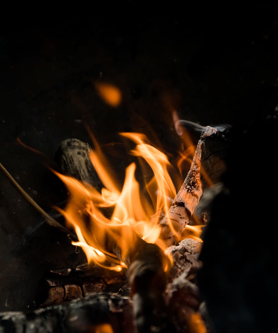 Firewood, ash, blaze, bonfire, burn, burning, camp, charcoal HD wallpaper