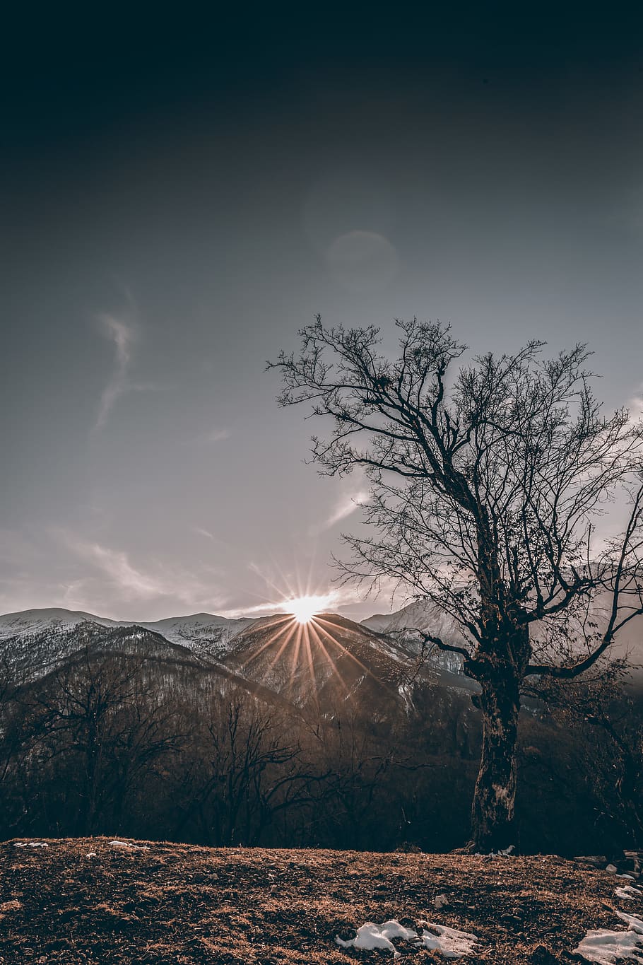 bare tree near mountain view, sky, beauty in nature, tranquility HD wallpaper