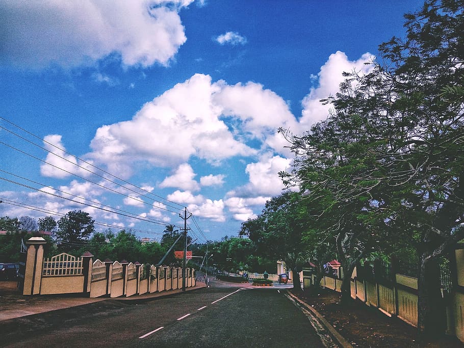 Indian Roadie: Napier Museum, Thiruvananthapuram in Kerala, India