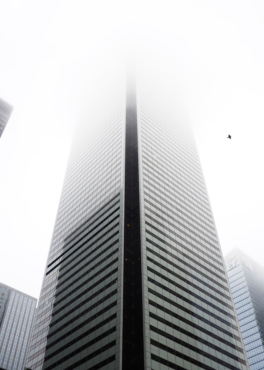 high rise building, city, urban, town, skyscraper, architecture HD wallpaper