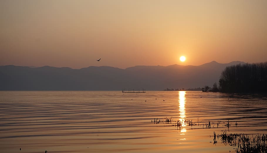 sunset, dawn, water, dusk, nature, reflection, sky, beauty in nature HD wallpaper