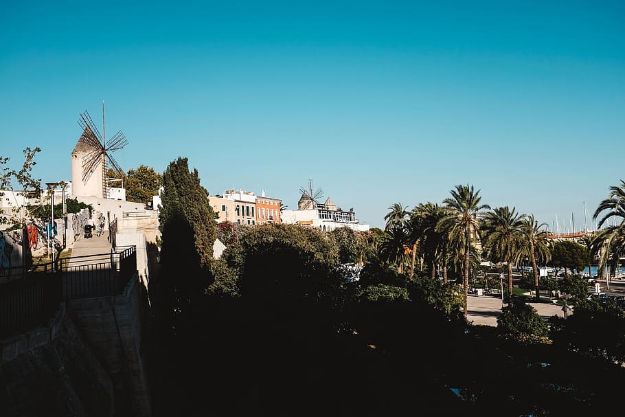 spain, palma, mallorca, view, sea, houses, built structure HD wallpaper
