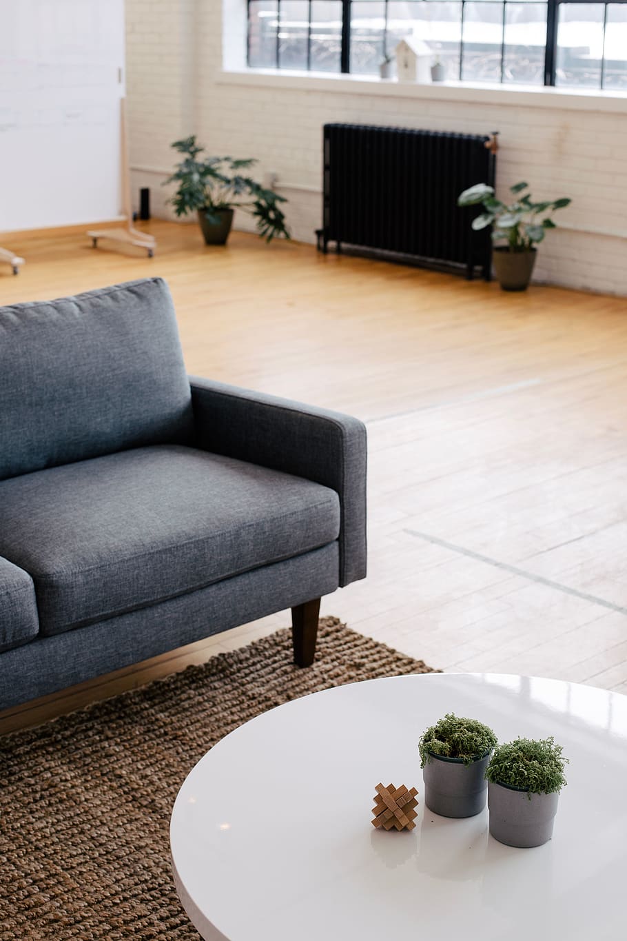 two green plants on white wooden table, sofa, indoors, furniture HD wallpaper