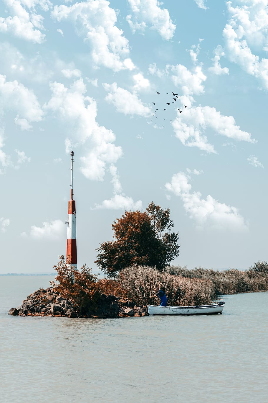 lighthouse surrounded with trees and plants, building, architecture HD wallpaper