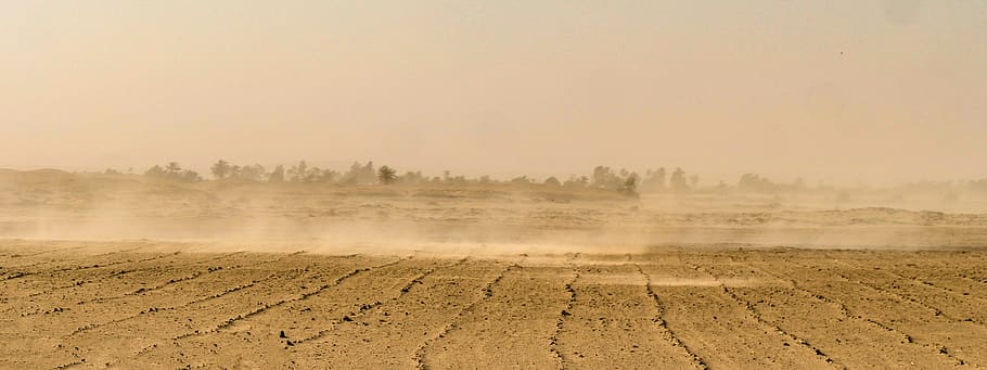 sandstorm, desert, wind, dry, oed, lonely, drought, baranca, HD wallpaper