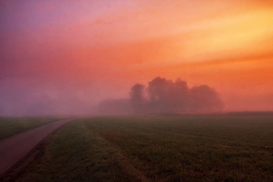 Grey Concrete Road Surrounded by Green Field and Fog, backlit HD wallpaper