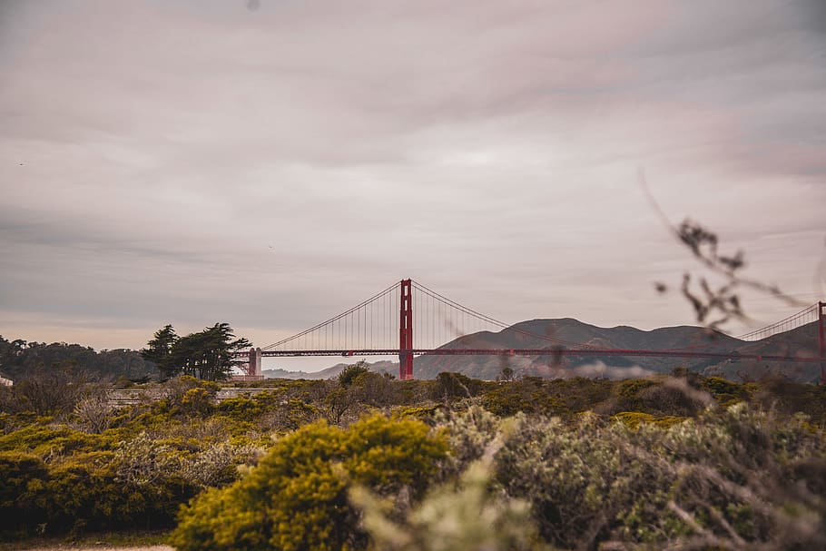 building, nature, outdoors, bridge, usa, san francisco, california HD wallpaper
